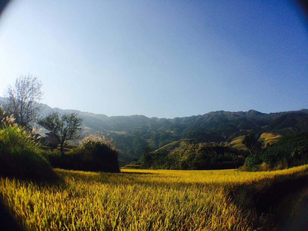 Rice View Villa Longsheng Exterior photo