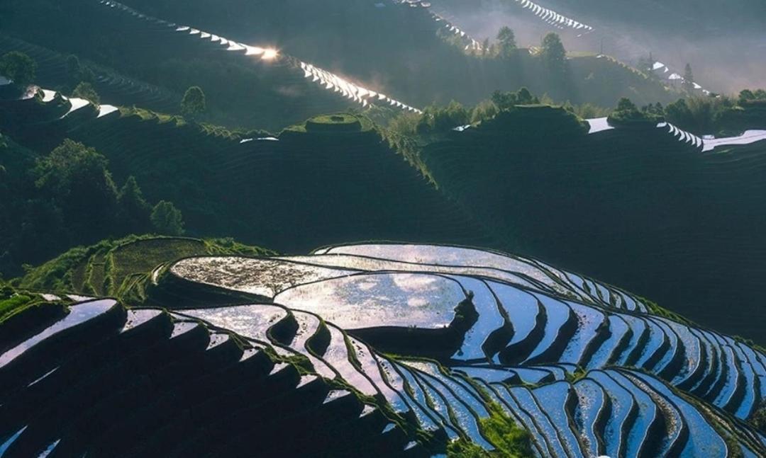 Rice View Villa Longsheng Exterior photo